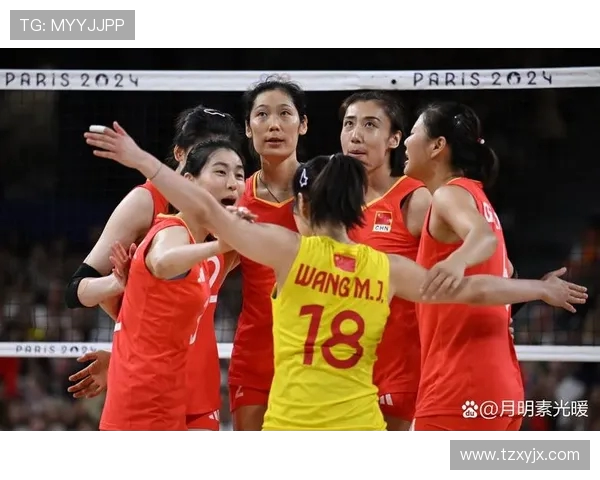 北京排球队实力强劲排球个人能力排行榜揭晓第5名成就引关注