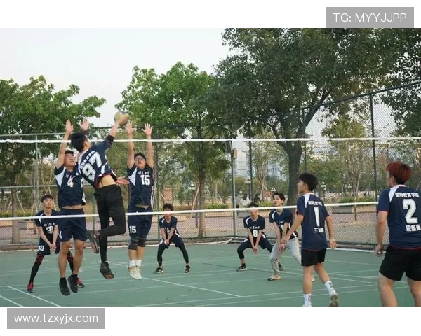 广州排球队引领最新排球意识TOP10榜单全景解析