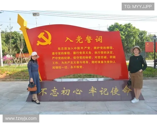 王军专访揭秘排球成功背后的秘密与奋斗历程