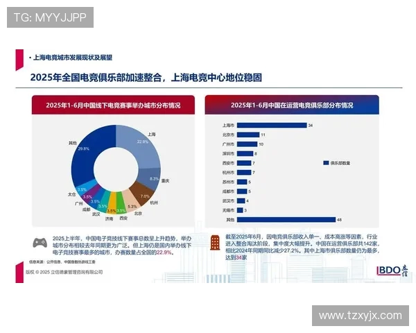 全球电竞产业未来趋势与职业生态全面深度观察报告蓝图前瞻视野展