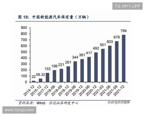 印度尼西亚与东帝汶的历史交汇与未来发展展望分析 印度尼西亚与东帝汶的历史交汇与未来发展展望分析